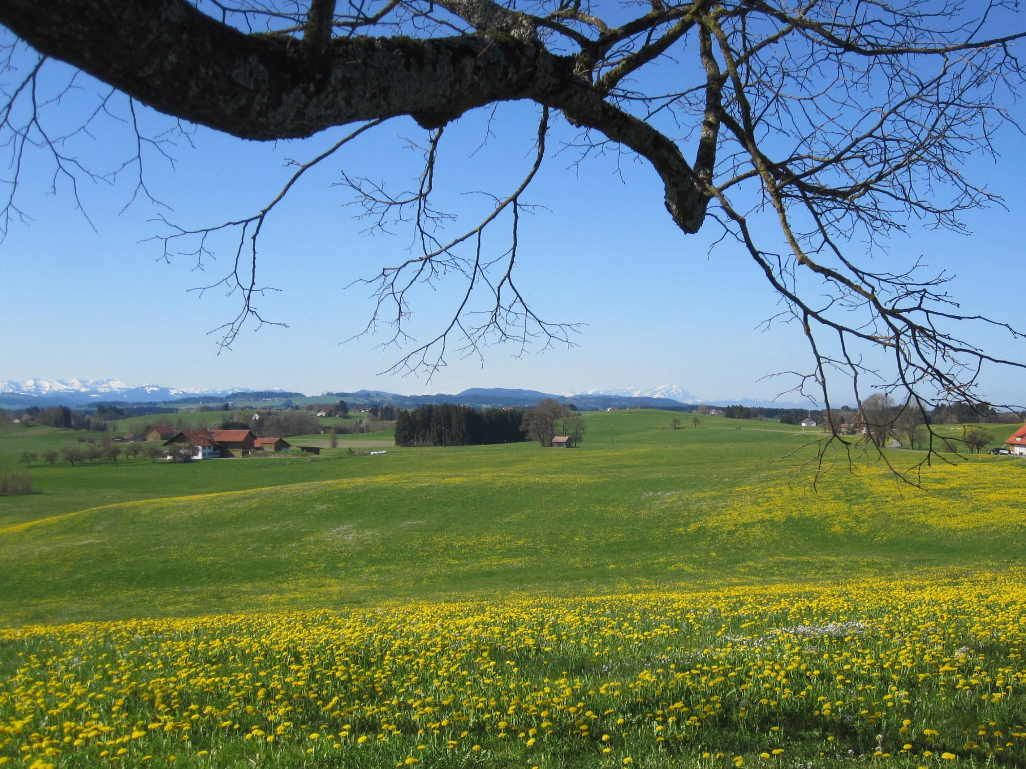 Ferienwohnung Lackhoff